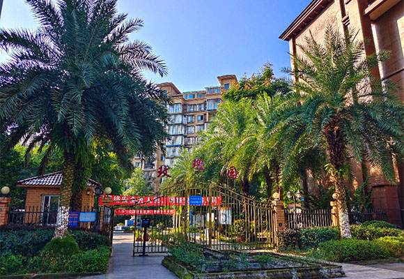 瀘州市江陽區(qū)稅務局一批抵稅資產拍賣公告